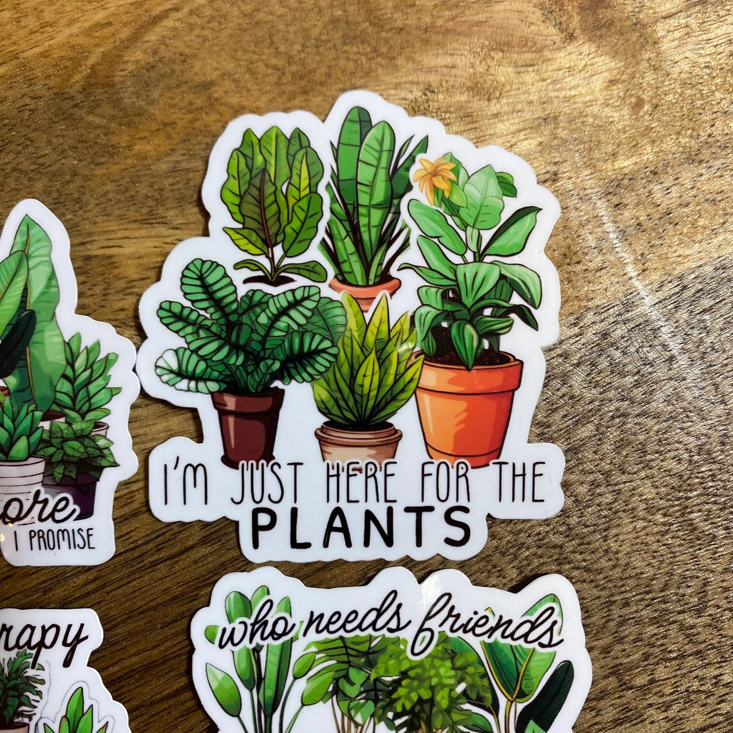 Pegatinas para plantas de interior