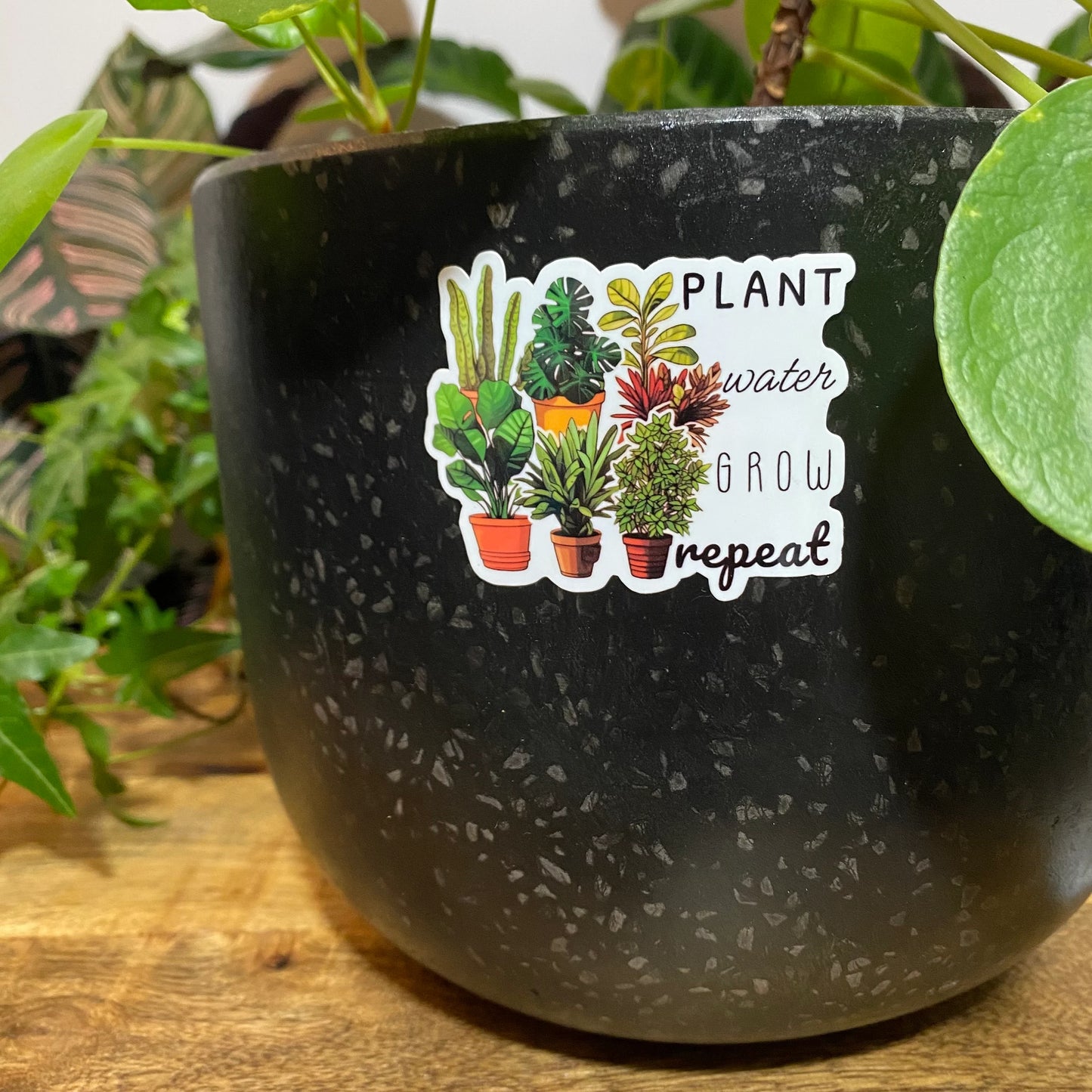 Pegatinas para plantas de interior
