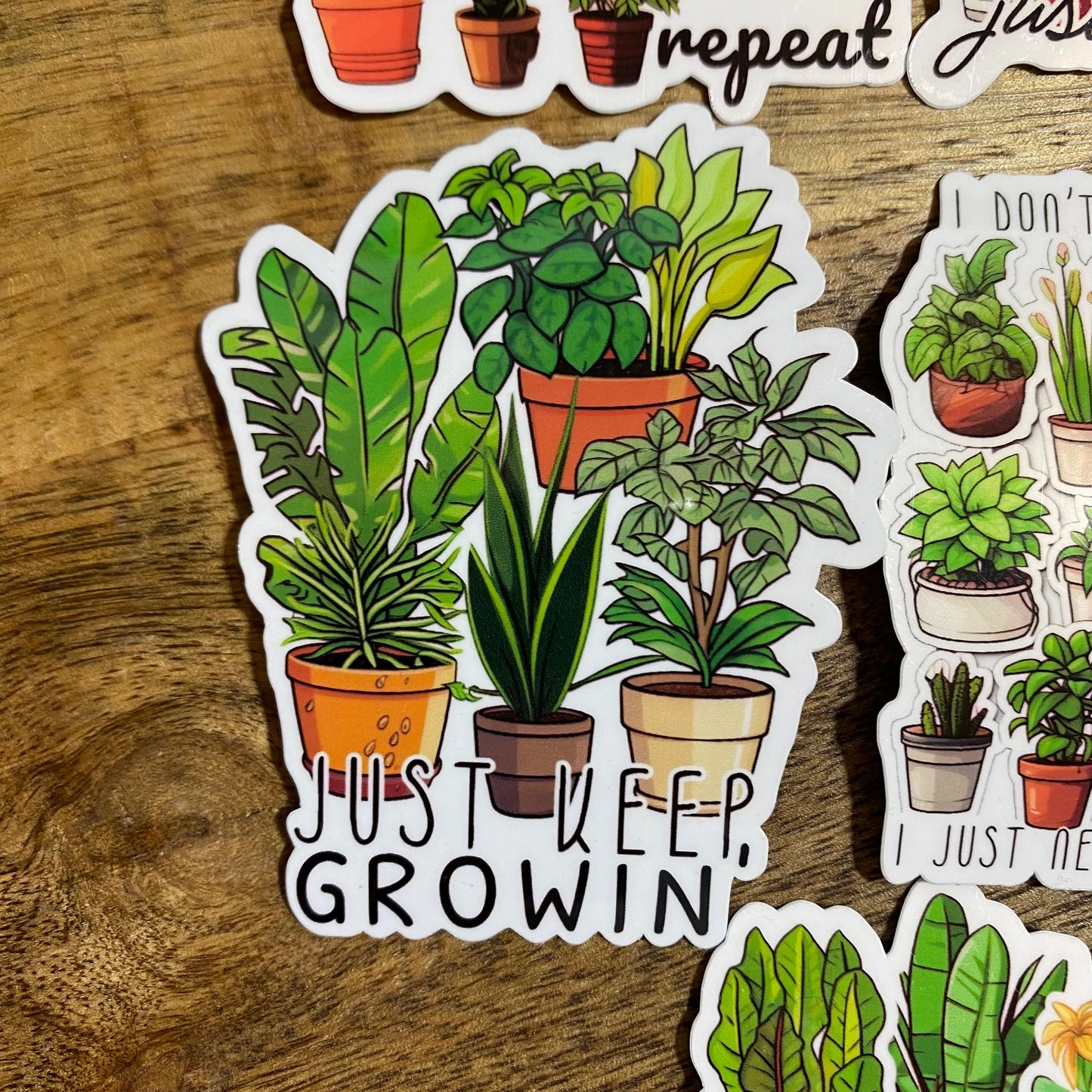 Pegatinas para plantas de interior