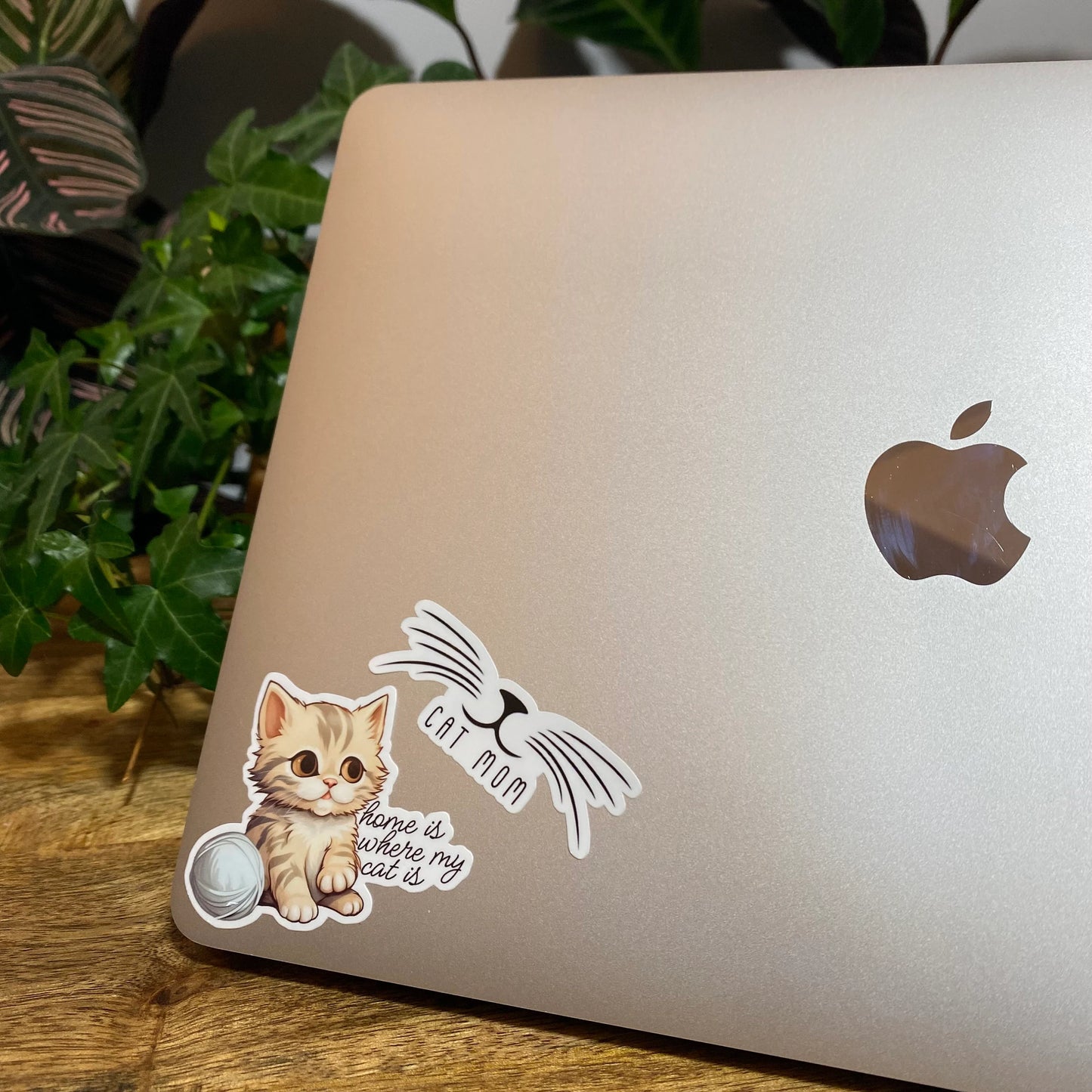 Cute Cat Stickers